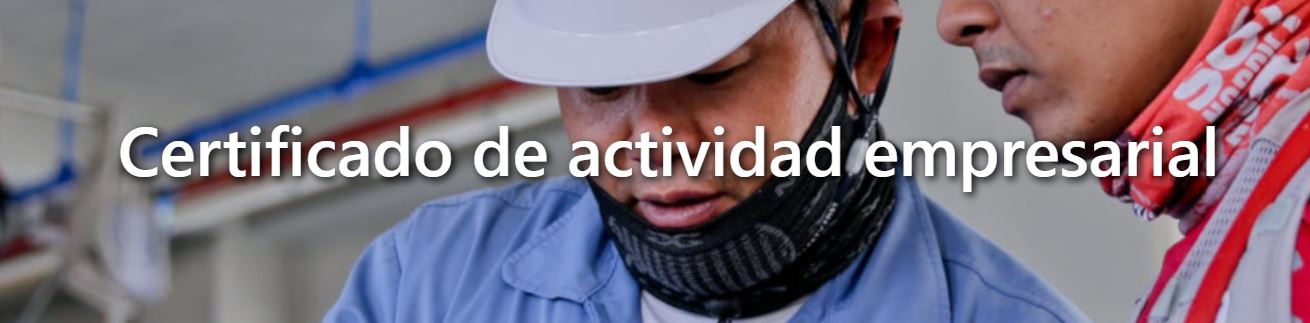 Certificado de Alta en Actividad Empresarial